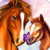 糖心姐姐的圣诞惊喜在线观看视频免费版